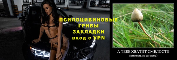 амфетамин Белокуриха