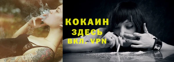 индика Богородицк
