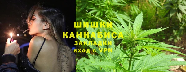 индика Богородицк