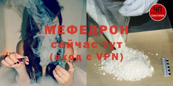 индика Богородицк