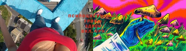 альфа пвп Ростов