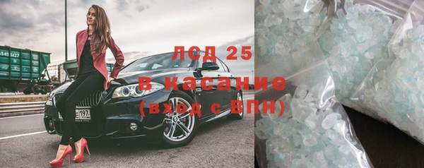 индика Богородицк