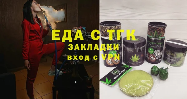 индика Богородицк